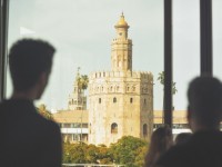 1780991421_elf-sevilla-4.jpg
